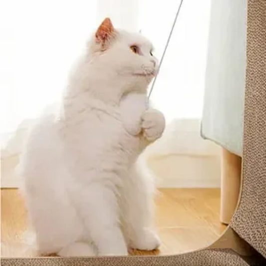 Griffoir pour chat – surface de griffage résistante et ludique