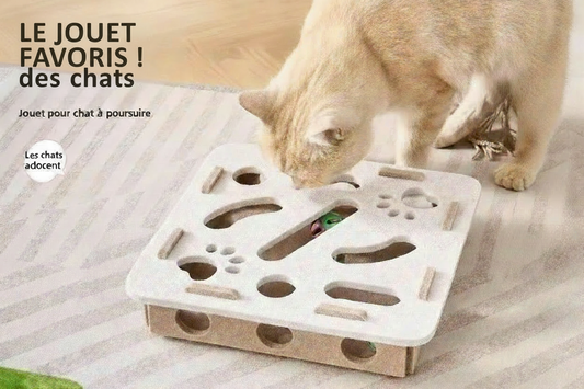 Le Complexe de Jeu 3-en-1 "Amor" : L'Espace Interactif en Suédine